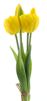 Real Touch Triumph tulip bundle Sally x5 yellow 29cm