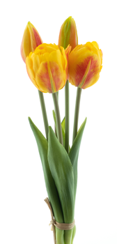 Real Touch Triumph tulip bundle Sally x5 orange 29cm