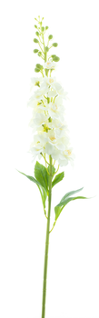 Delphinium spray Roland white 87cm