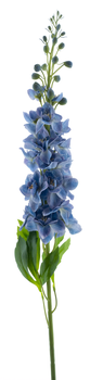 Delphinium spray Roland blue 87cm