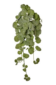 HANGING GERANIUM LEAVES X 70LVS H 65 CM GREEN FROSTED