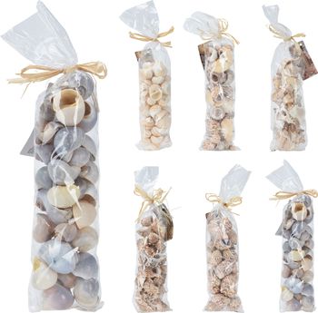 SCHELPEN DECO IN BAG 6 ASSORTIE 35X9X6CM