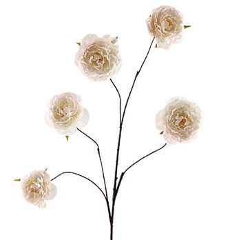 Cabbage Rosa Spray 112cm Beige