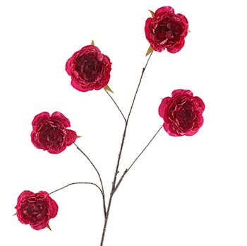 Cabbage Rosa Spray 112cm Fuchsia