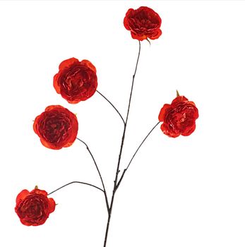 Cabbage Rosa Spray 112cm Orange