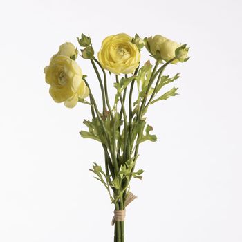 Ranunculus Bundle x5 L38cm w/raffia Light Yellow