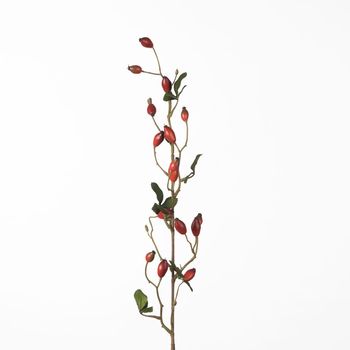 Rosehip Zaffiro Spray L84cm Red