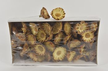 Comp Rosette 10cm wr box(50p) Natural