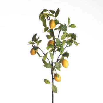 Lemon Branch L120cm Yellow