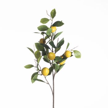 Lemon Branch L94cm Yellow