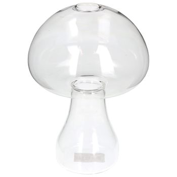 Vase Pilz Glas Klar 12.5x12.5x17.5cm