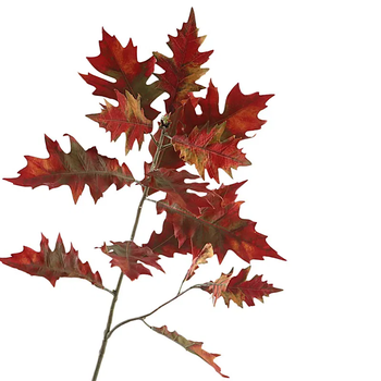 Oak Leaf Spray x16 Red Green 102cm