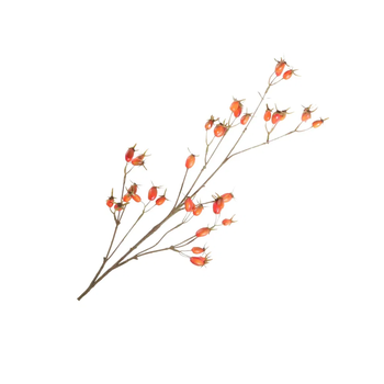 Rosehip branch Orange 94cm