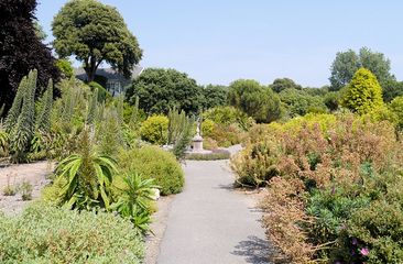 Mediterraner Garten