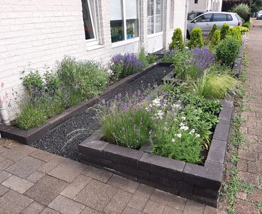 Hover Landschap zwaan Tuinborder planten borderpakketten Kant & klare borderplan tuin