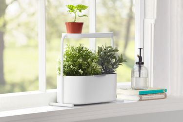 Umbra Plantenbak Wit