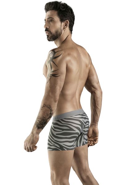 31.140-Cebra-Trunks-back.jpg