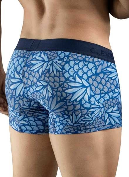31.142-Pineapple-Trunks-back-close.jpg