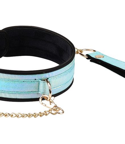 BDSM-set-blauw-collar-and-leash.jpg