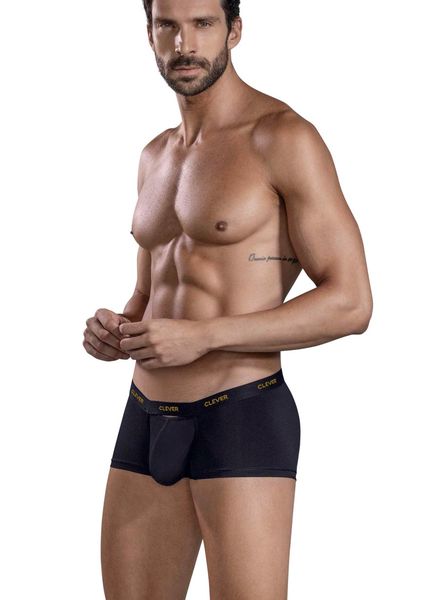 Luxury-Trunks-model-zij.jpg