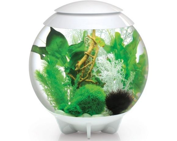 aquarium-aquarium-biorb-halo-30-led-moonlight-wit-art.jpg