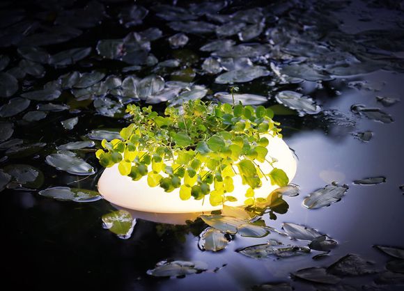 velda-floating-pond-light-139247.jpg