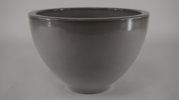 403134.jpg