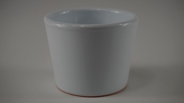 44007007.jpg