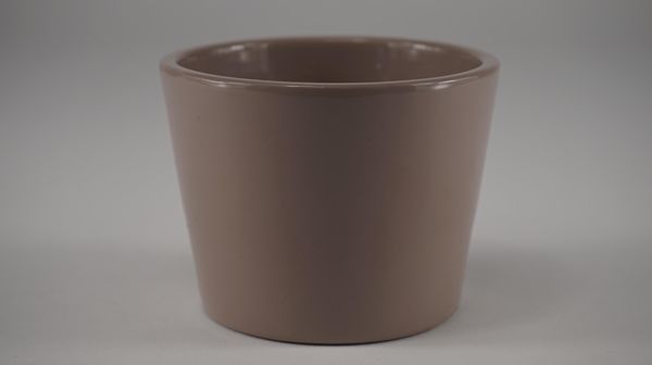 44008038.jpg