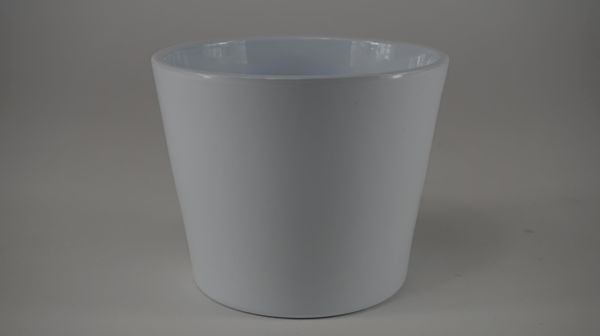 44013007.jpg