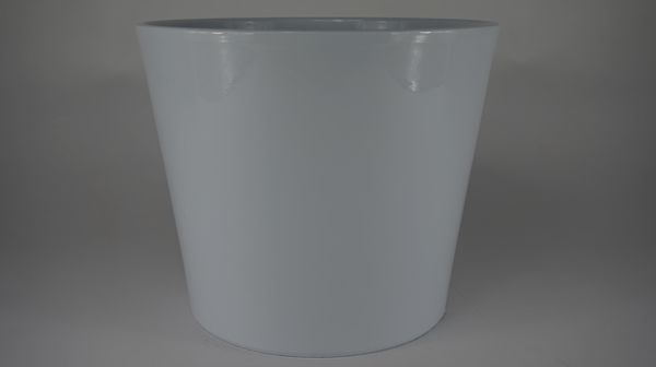 44028007.jpg