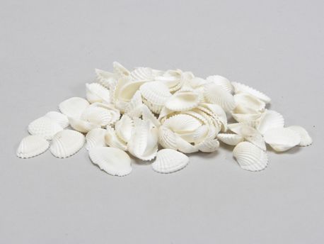 496275.jpg
