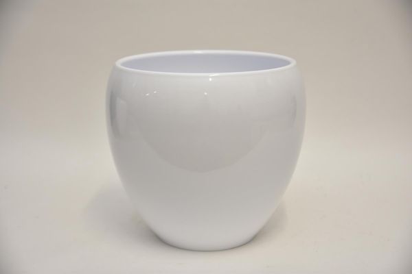 703111.jpg