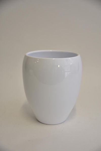 721911.jpg