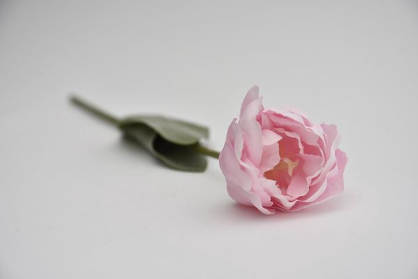 86375-7.jpg
