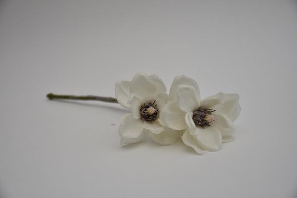 87359-0.jpg