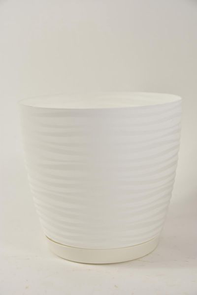 3040-011.jpg