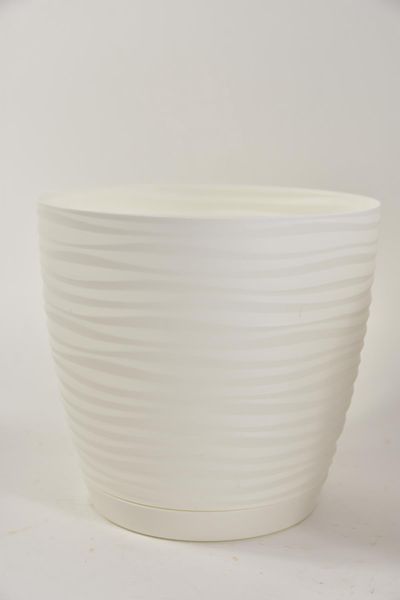 3041-011.jpg