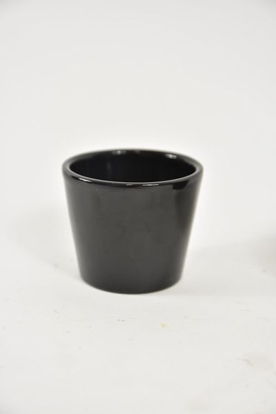 44007016.jpg