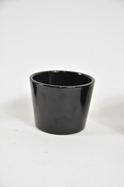 44008016.jpg