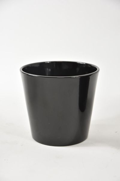 44015016.jpg