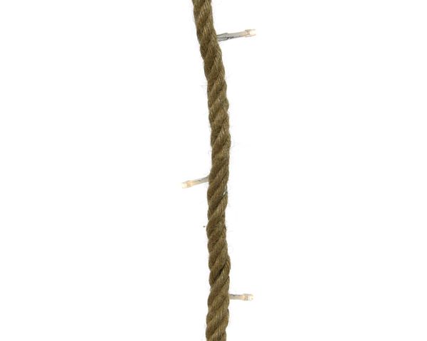483405.jpg
