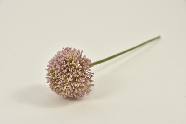 11648-7.jpg