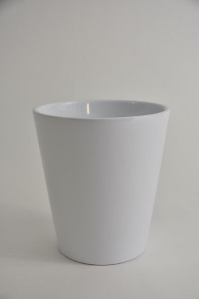 44115007.jpg