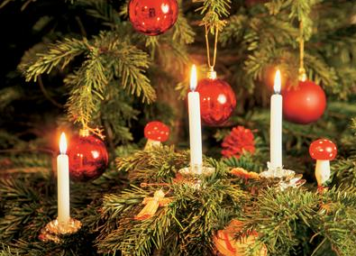 Bolsius Weihnachtsbaumkerzen