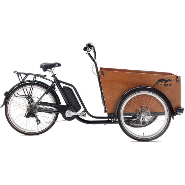 Cangoo Easy Elektrische Bakfiets 6 Speed Mat Grijs Naturel-min.jpg