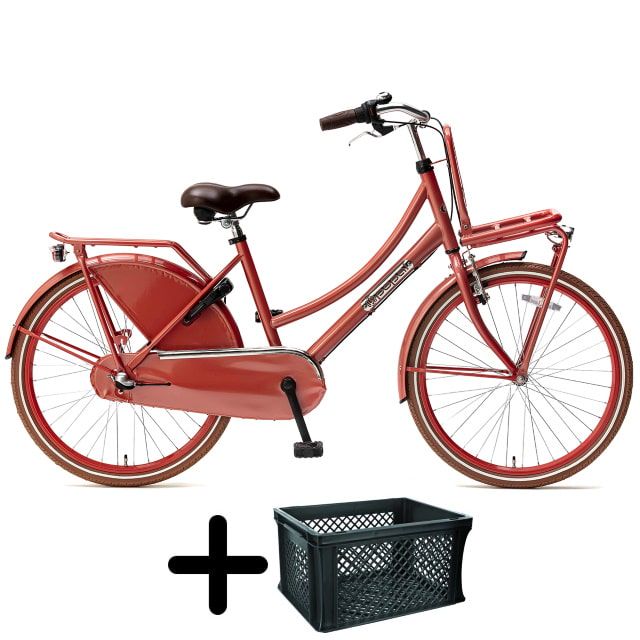 Popal Daily Dutch Basic+ 24 inch Flamingo met krat