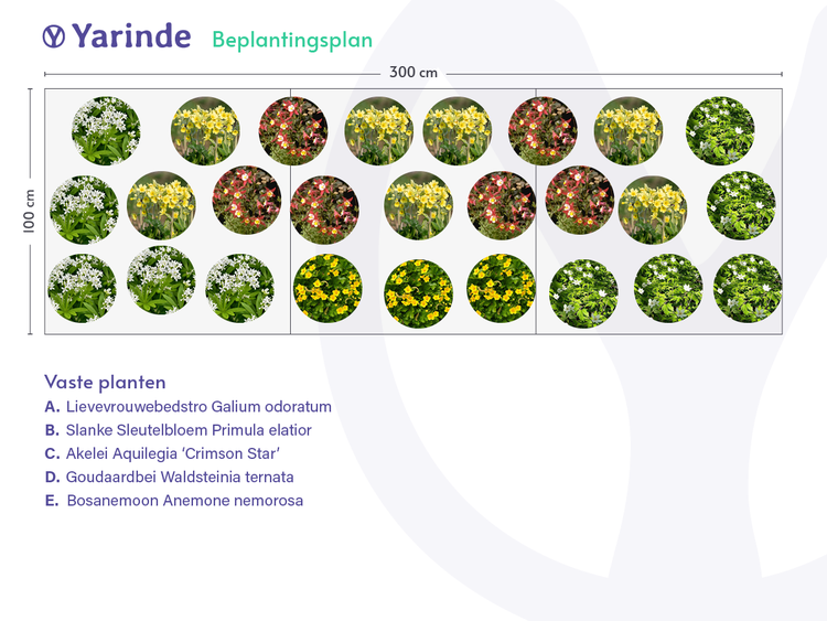 Voorbeeld beplantingsplannen tuin inspiratie combinatie borders