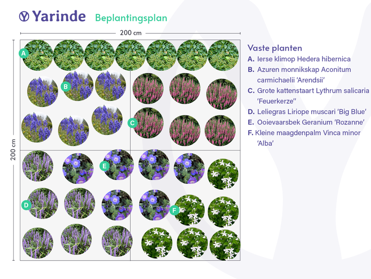Muster für Bepflanzungspläne mit Gartenpflanzen