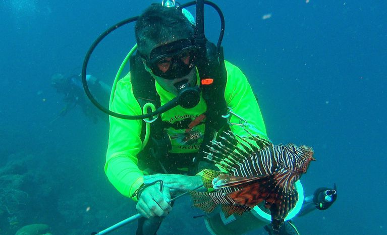lionfish on spear